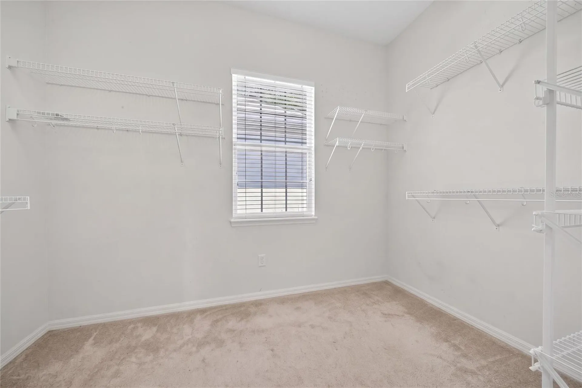 10206 Shadow Branch Drive Tampa FL 33647