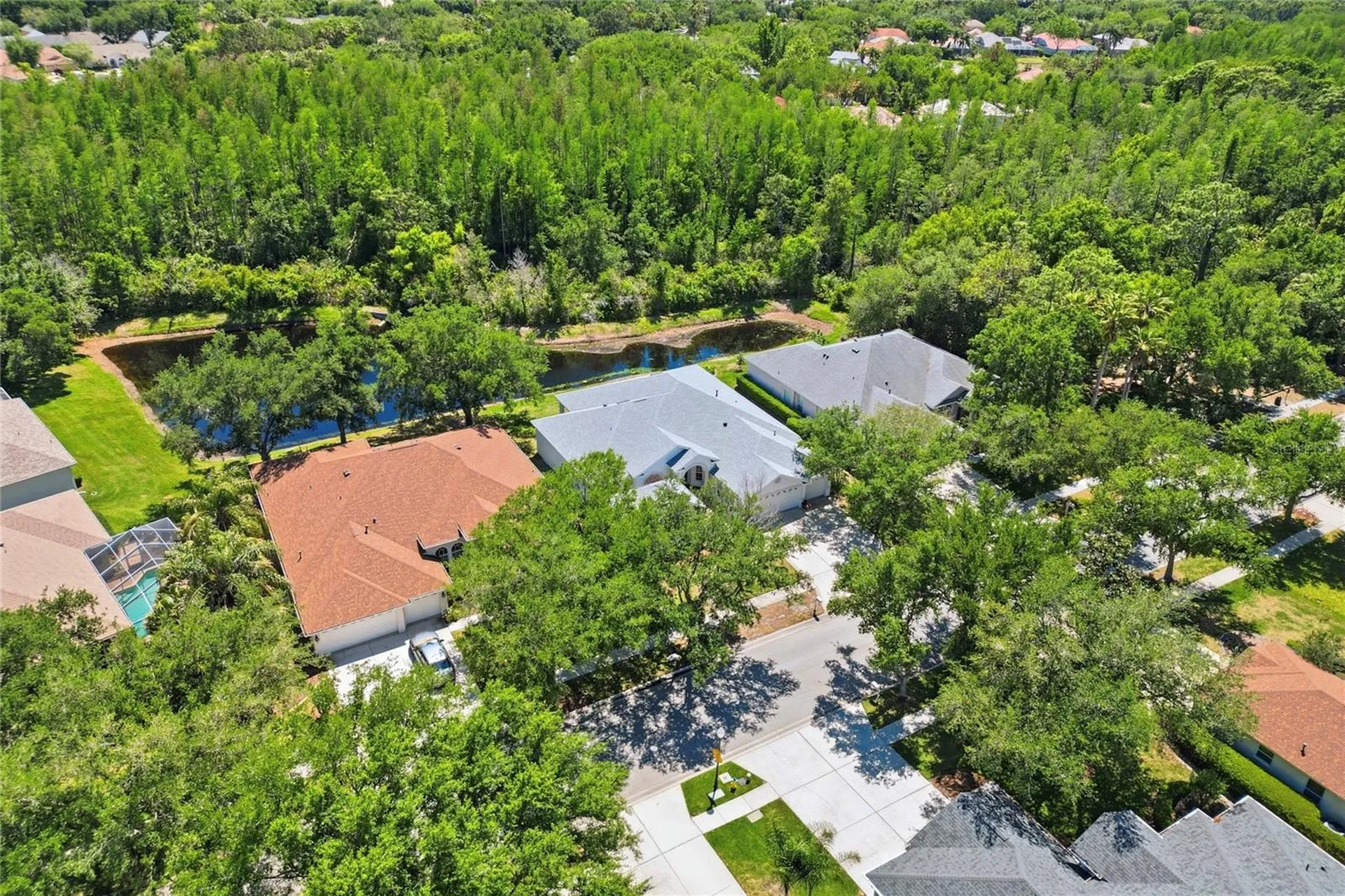 10206 Shadow Branch Drive Tampa FL 33647