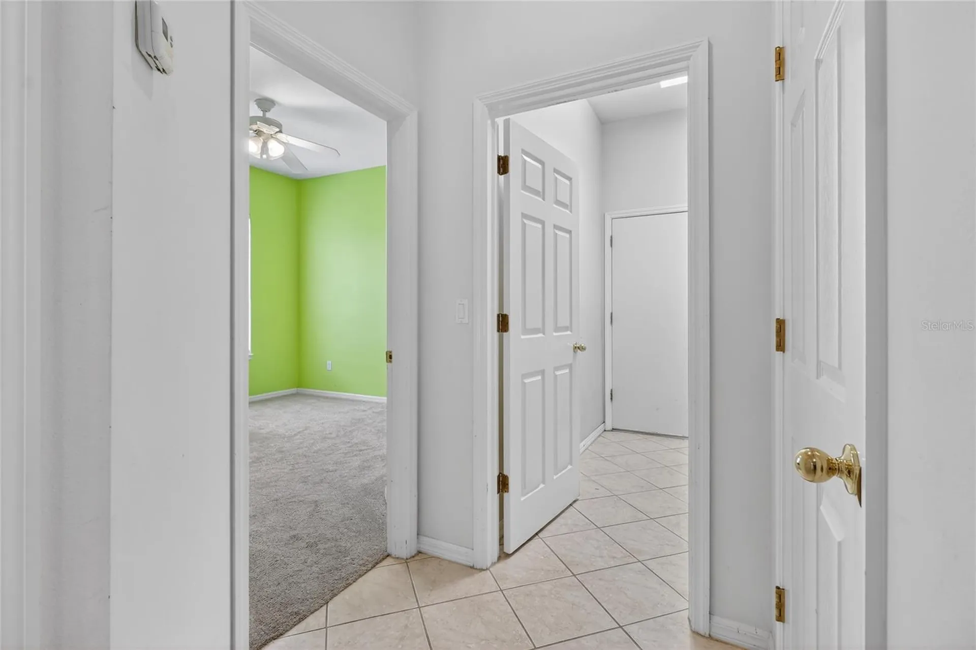 10206 Shadow Branch Drive Tampa FL 33647