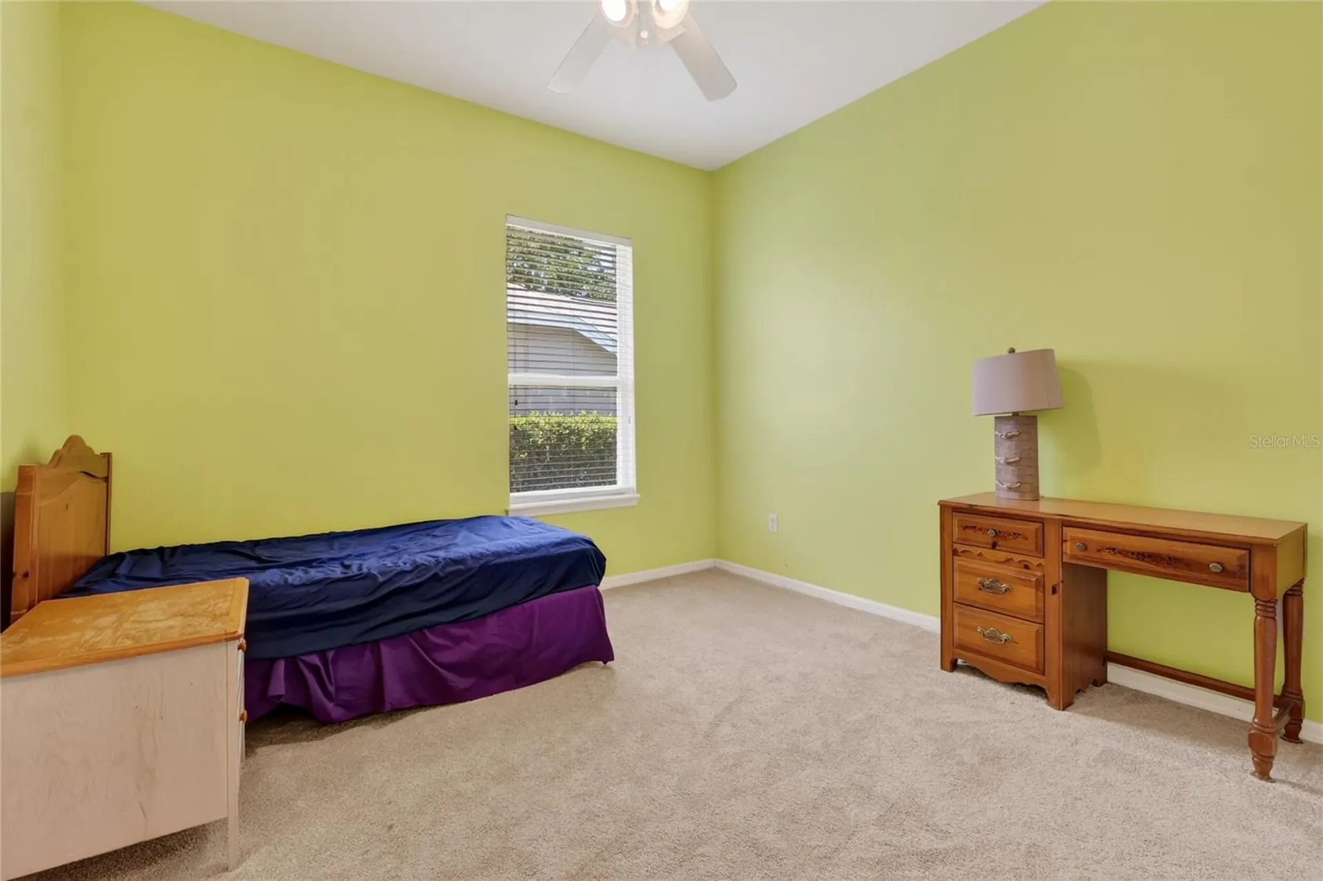 10206 Shadow Branch Drive Tampa FL 33647