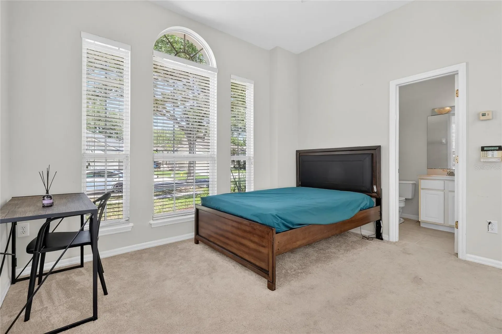 10206 Shadow Branch Drive Tampa FL 33647