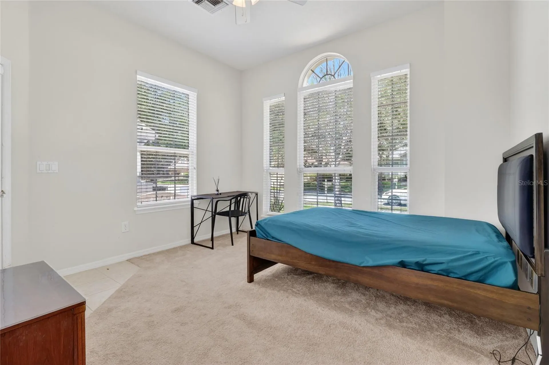 10206 Shadow Branch Drive Tampa FL 33647