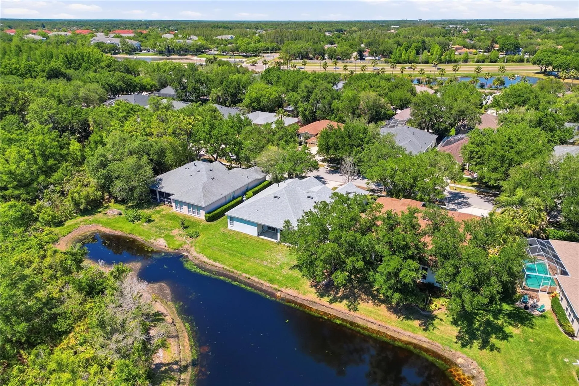 10206 Shadow Branch Drive Tampa FL 33647