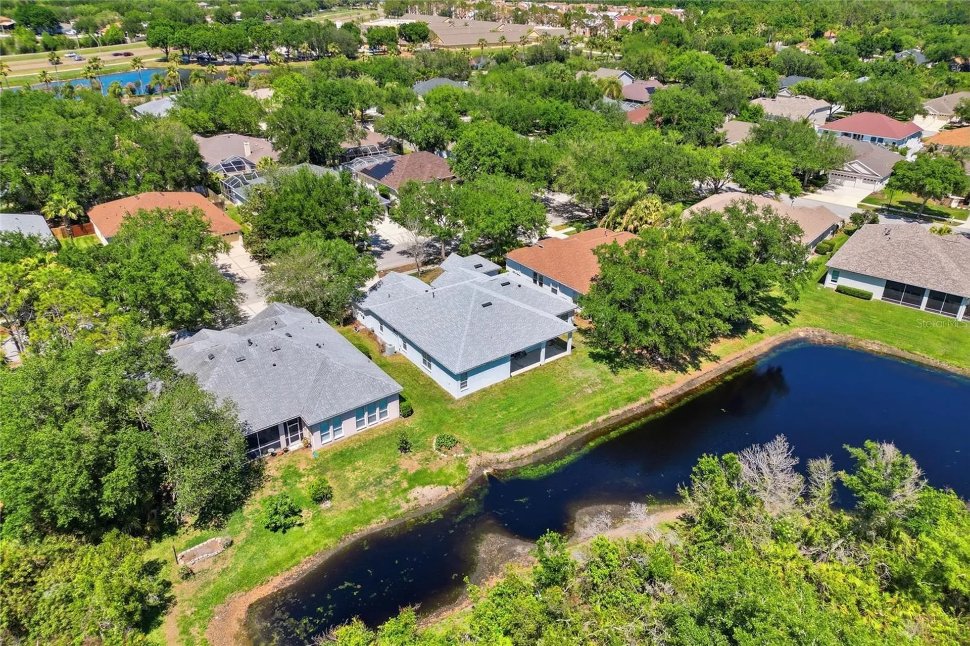 10206 Shadow Branch Drive Tampa FL 33647