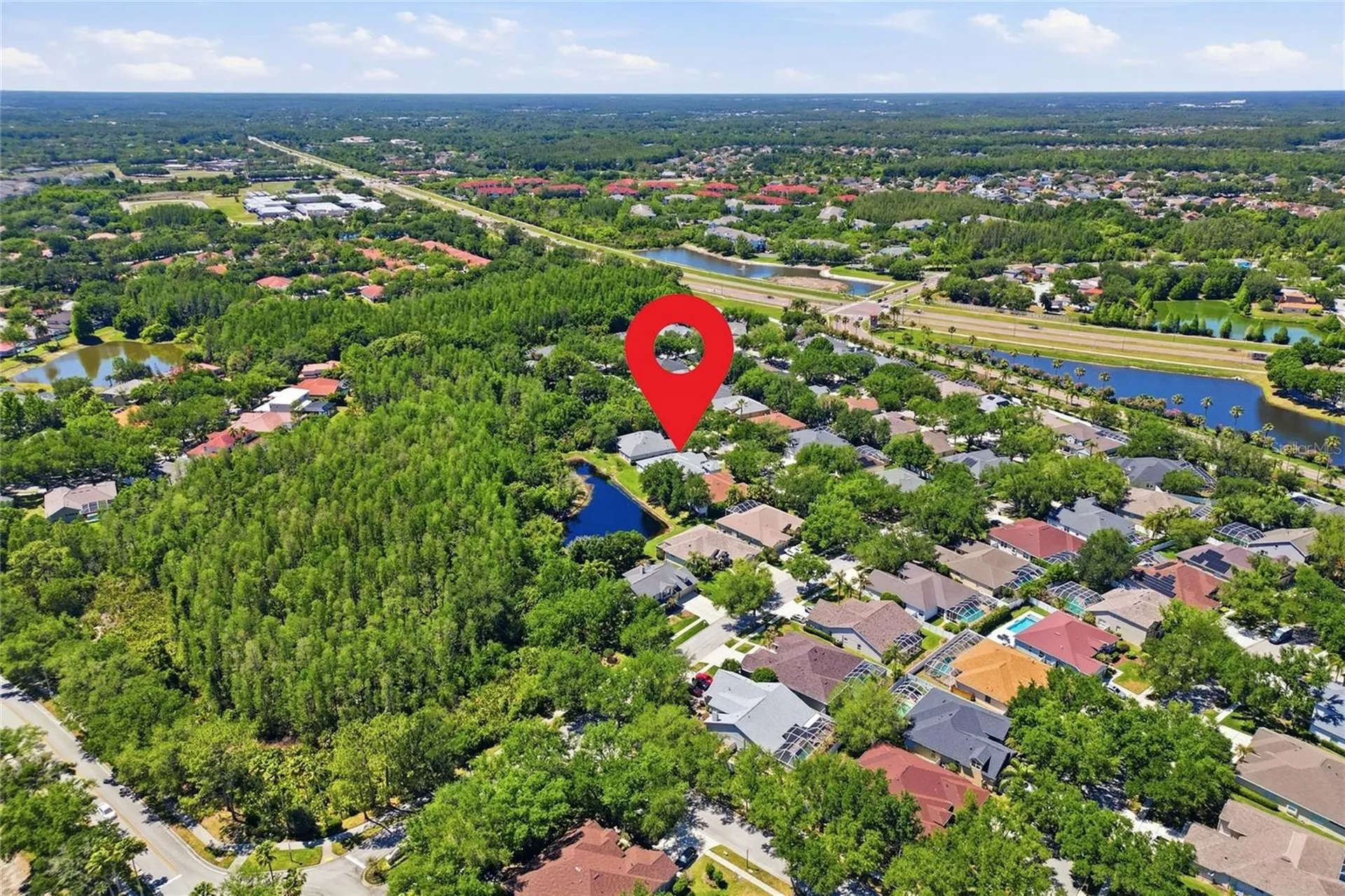 10206 Shadow Branch Drive Tampa FL 33647