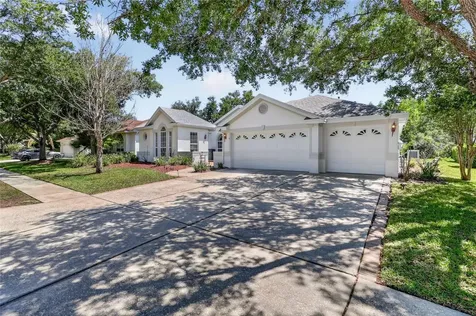 10206 Shadow Branch Drive Tampa FL 33647