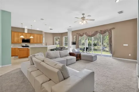 10206 Shadow Branch Drive Tampa FL 33647