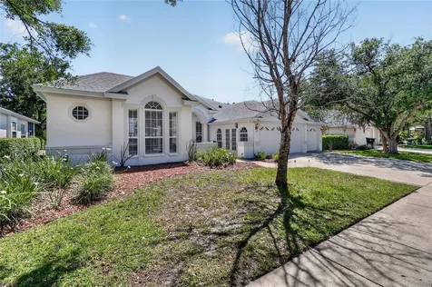 10206 Shadow Branch Drive Tampa FL 33647