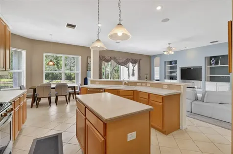 10206 Shadow Branch Drive Tampa FL 33647