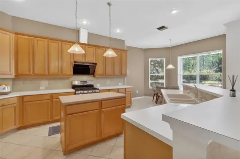 10206 Shadow Branch Drive Tampa FL 33647