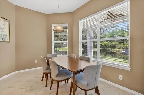10206 Shadow Branch Drive Tampa FL 33647