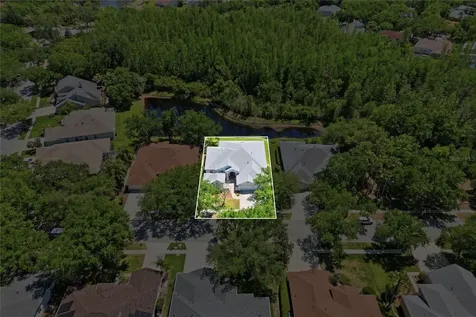 10206 Shadow Branch Drive Tampa FL 33647