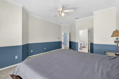 10206 Shadow Branch Drive Tampa FL 33647