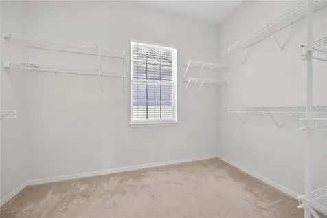 10206 Shadow Branch Drive Tampa FL 33647