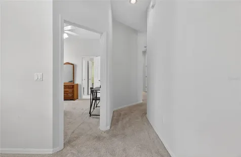 10206 Shadow Branch Drive Tampa FL 33647