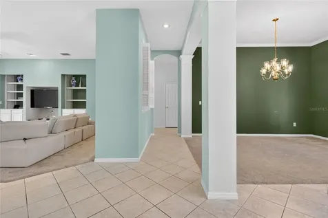 10206 Shadow Branch Drive Tampa FL 33647