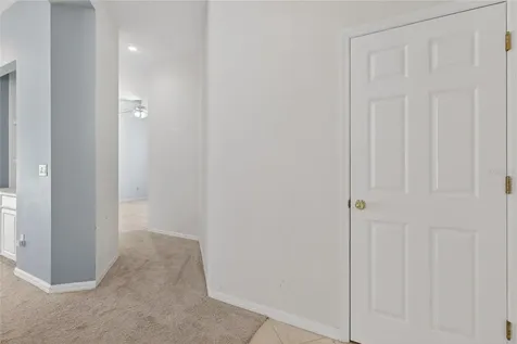 10206 Shadow Branch Drive Tampa FL 33647