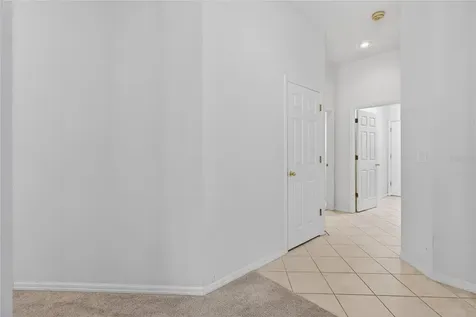 10206 Shadow Branch Drive Tampa FL 33647