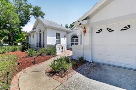 10206 Shadow Branch Drive Tampa FL 33647
