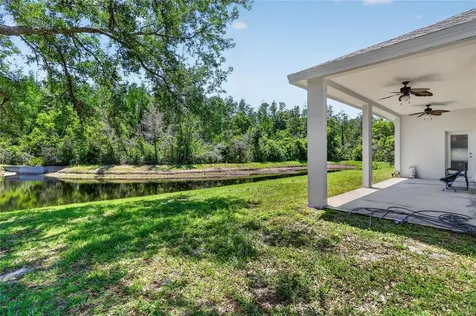 10206 Shadow Branch Drive Tampa FL 33647
