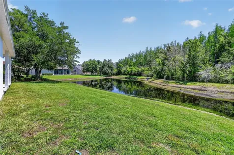 10206 Shadow Branch Drive Tampa FL 33647