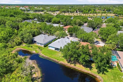 10206 Shadow Branch Drive Tampa FL 33647