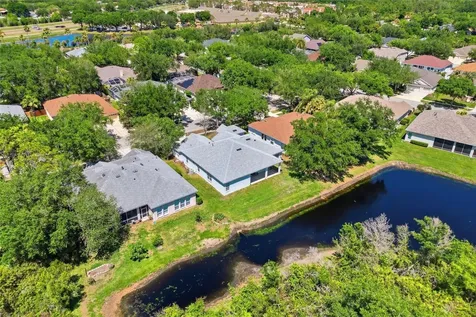 10206 Shadow Branch Drive Tampa FL 33647