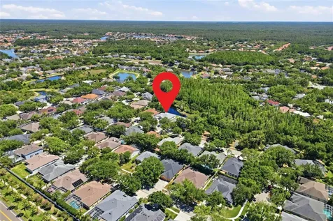 10206 Shadow Branch Drive Tampa FL 33647