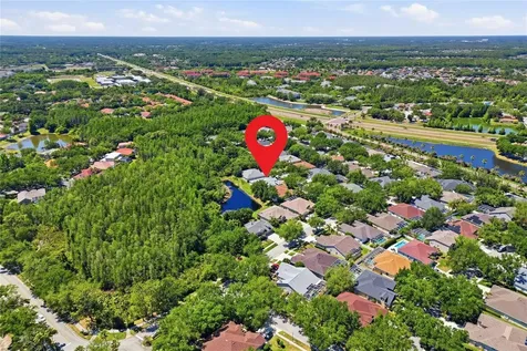 10206 Shadow Branch Drive Tampa FL 33647