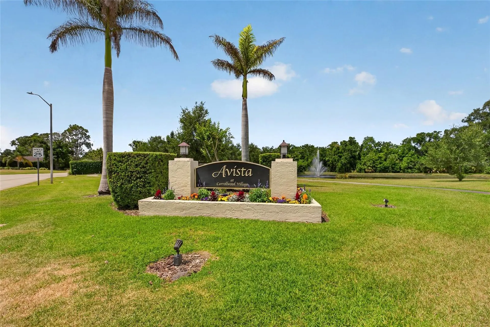 13522 Avista Drive Tampa FL 33624