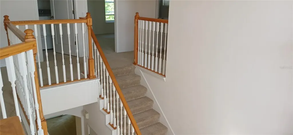 364 Ventura Drive Oldsmar FL 34677