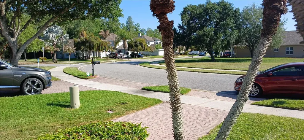 364 Ventura Drive Oldsmar FL 34677