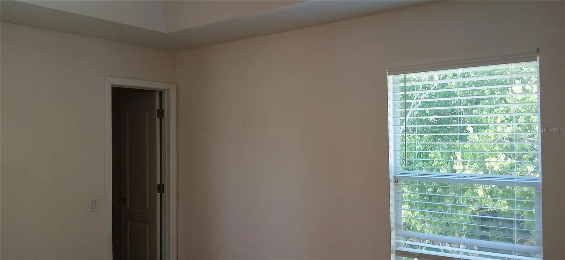 364 Ventura Drive Oldsmar FL 34677