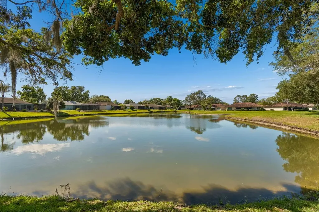 18529 Pebble Lake Court Tampa FL 33647