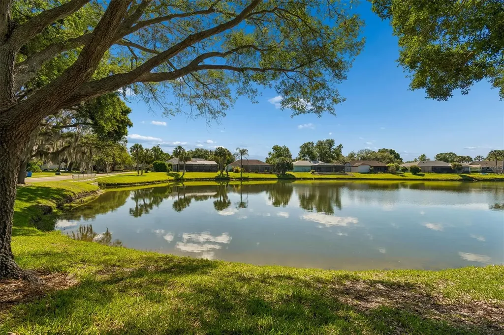 18529 Pebble Lake Court Tampa FL 33647