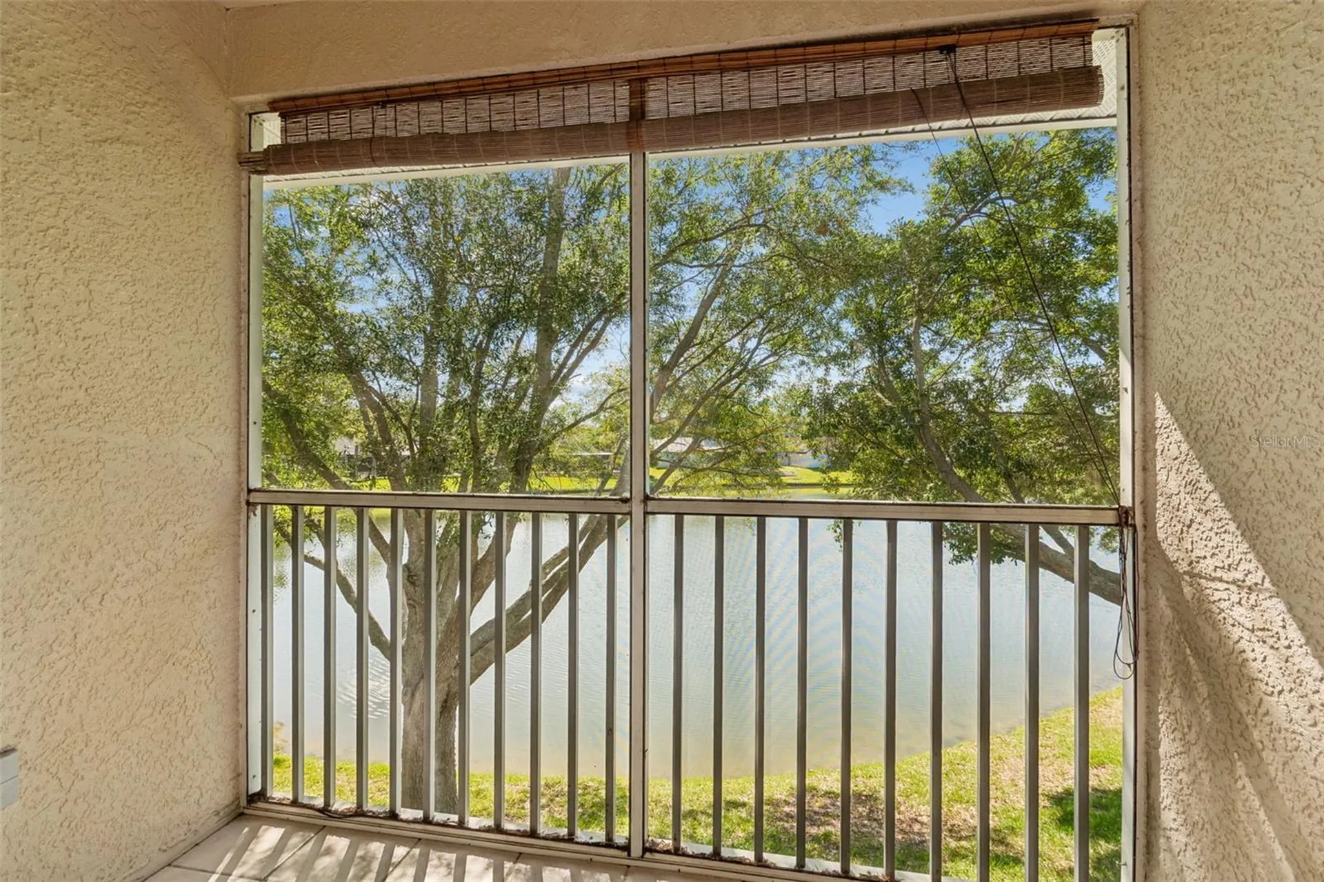 18529 Pebble Lake Court Tampa FL 33647