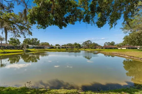 18529 Pebble Lake Court Tampa FL 33647