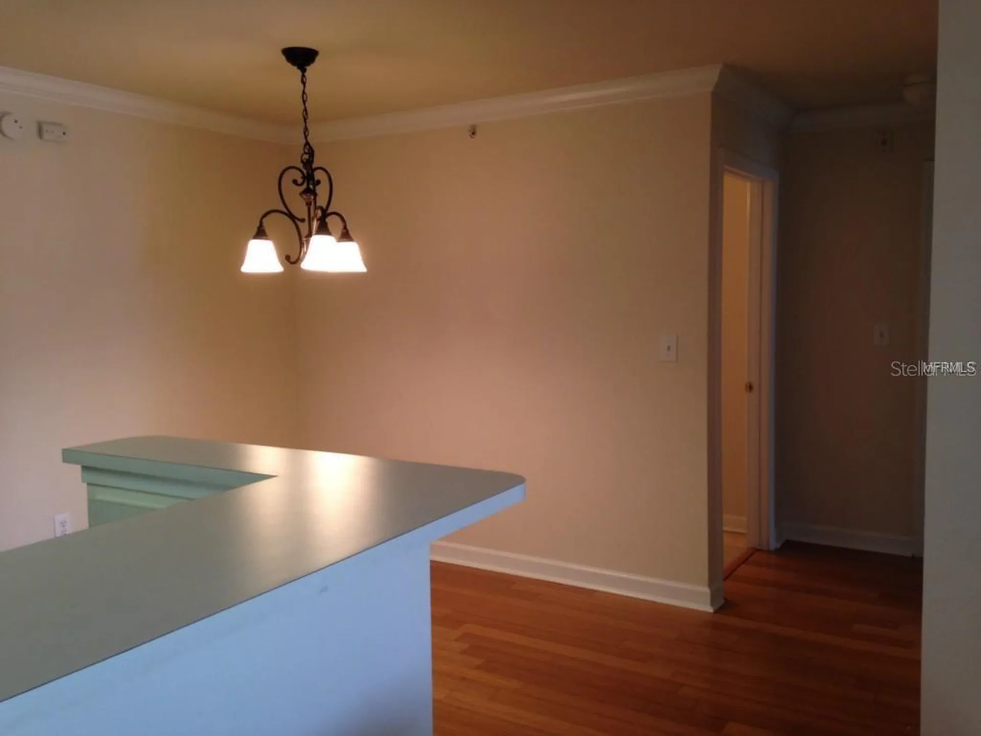 18147 Sterling Gate Circle Tampa FL 33647