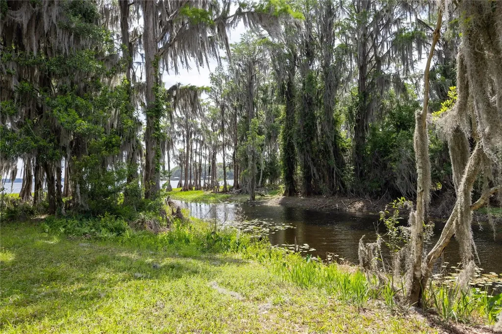 7305 NE 222nd Street Melrose FL 32666
