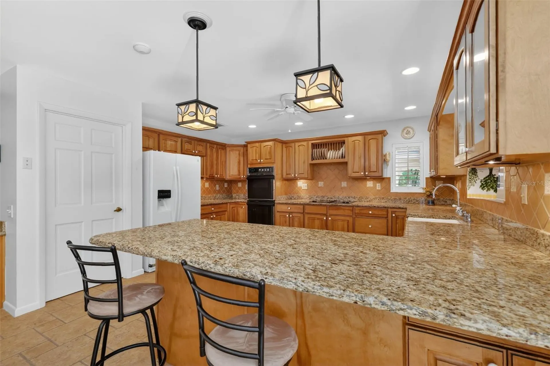1109 Elysium Boulevard Mount Dora FL 32757