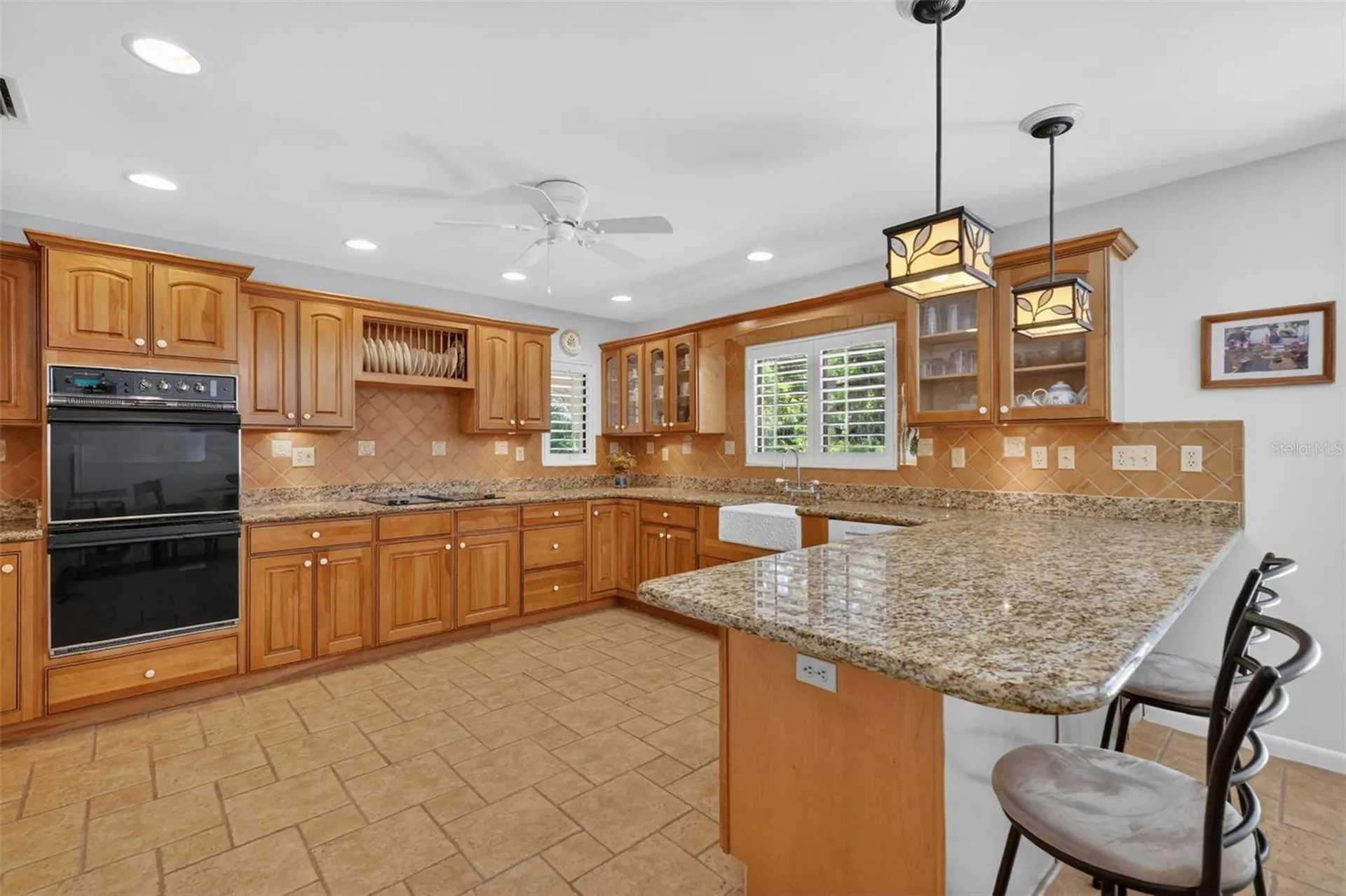 1109 Elysium Boulevard Mount Dora FL 32757