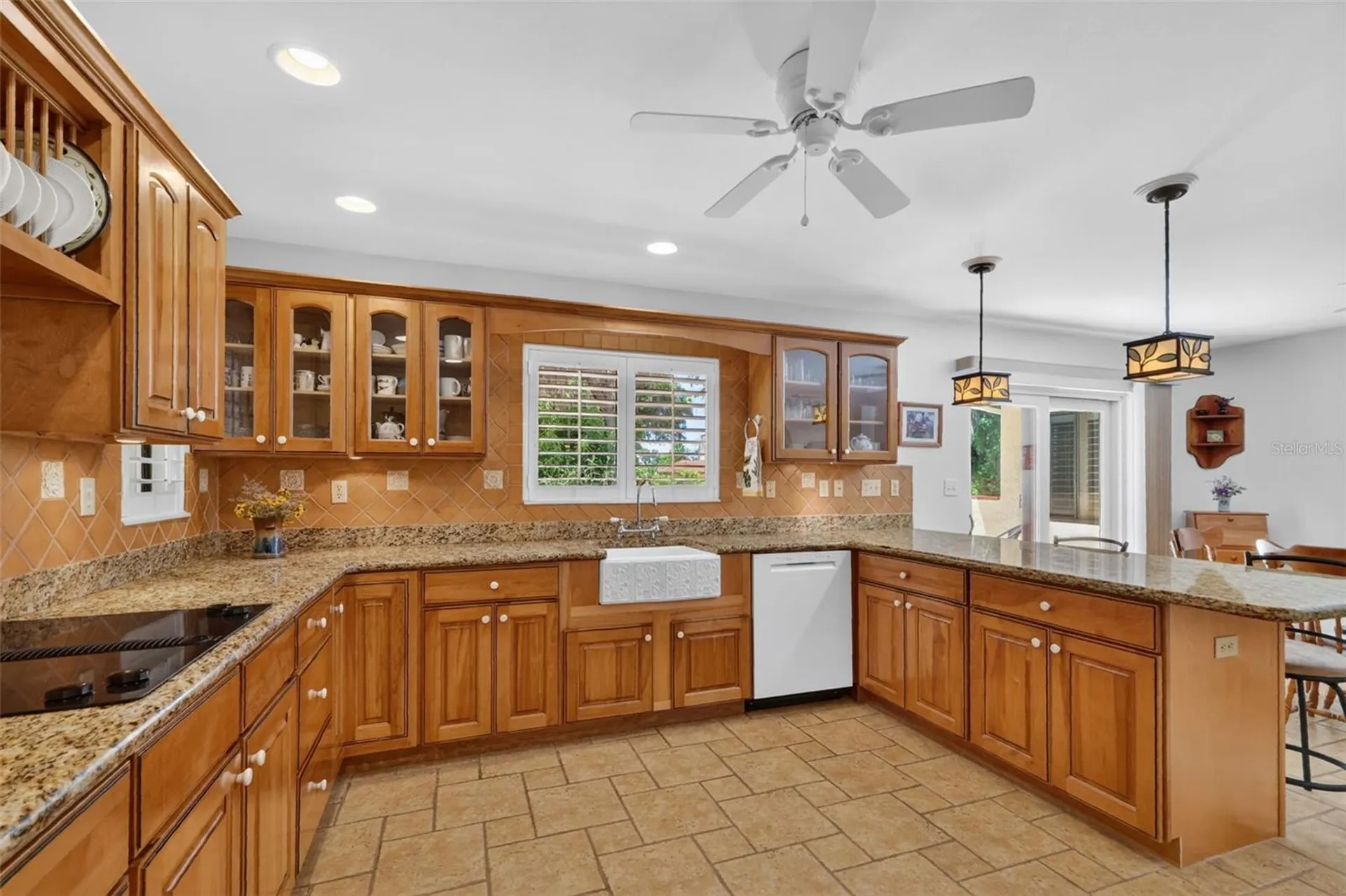 1109 Elysium Boulevard Mount Dora FL 32757