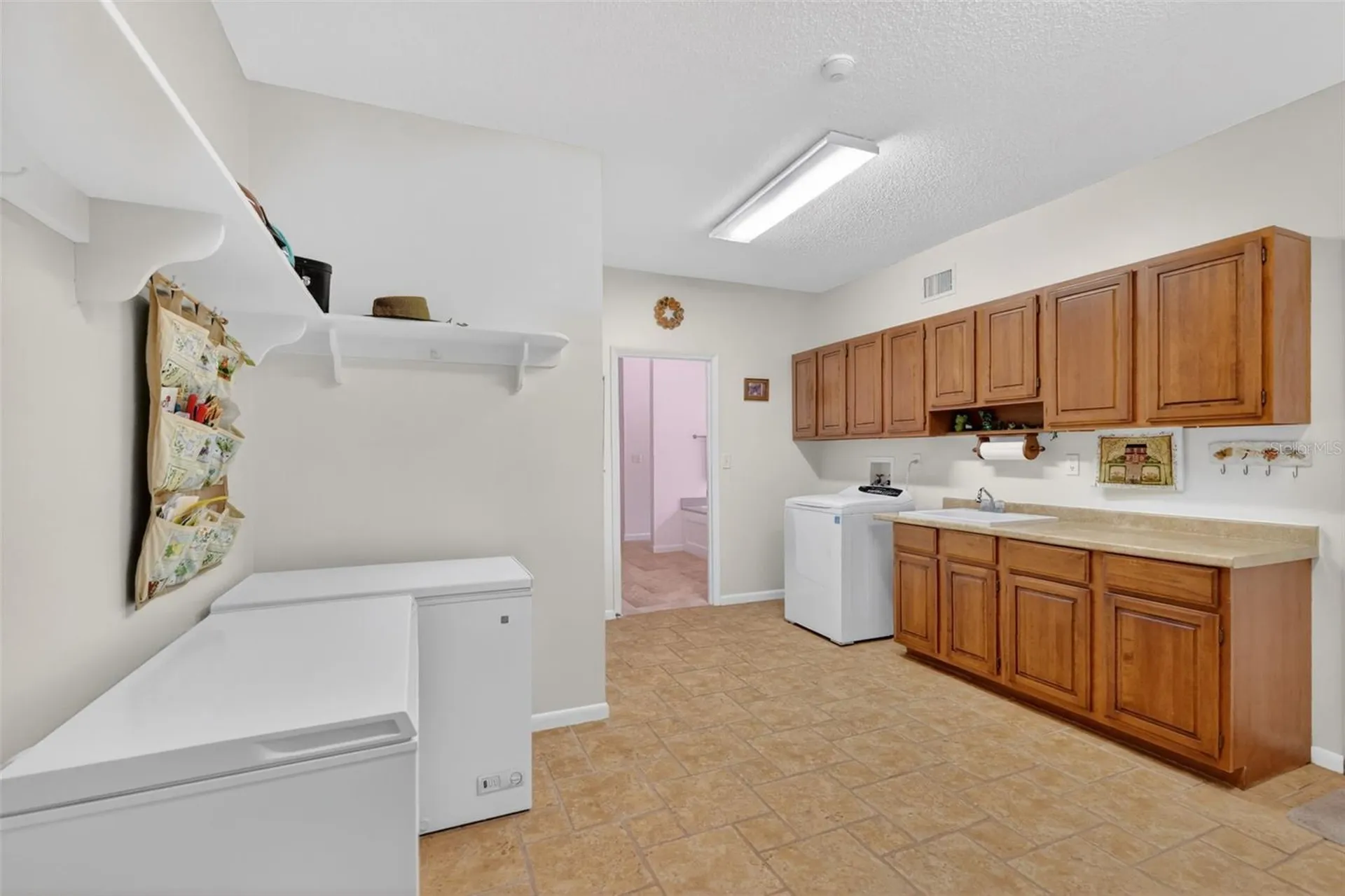 1109 Elysium Boulevard Mount Dora FL 32757