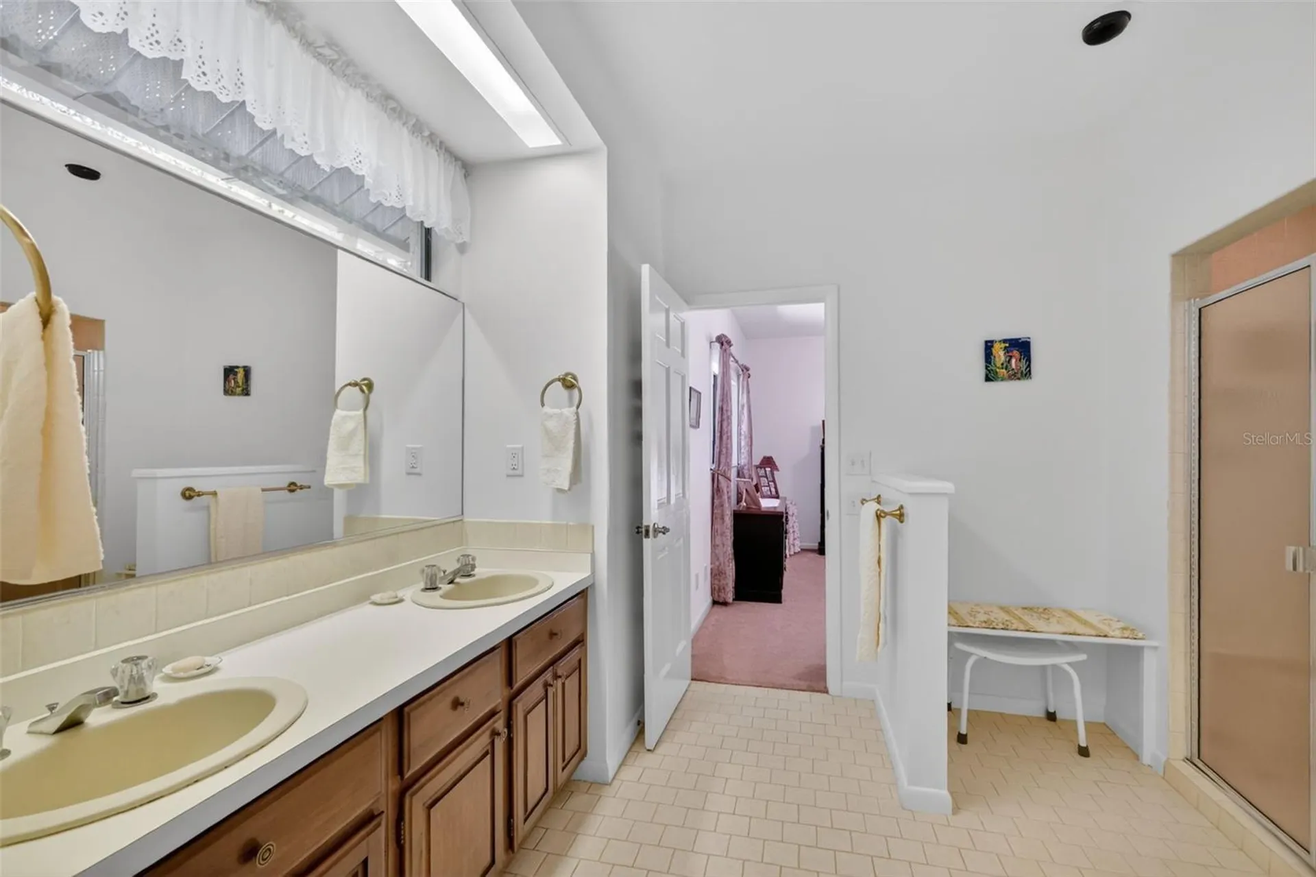 1109 Elysium Boulevard Mount Dora FL 32757