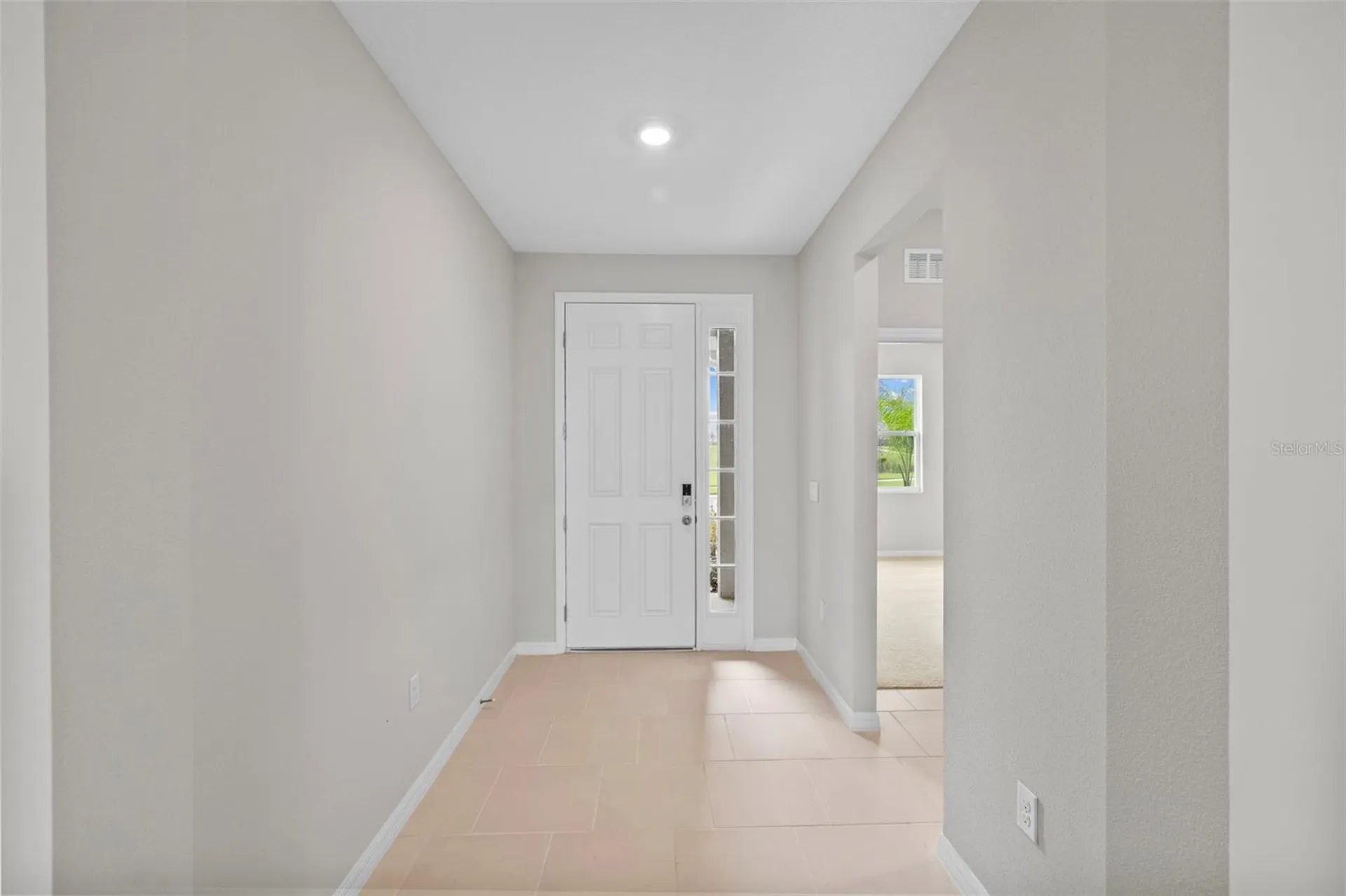 32003 Conchshell Sail Street Wesley Chapel FL 33545