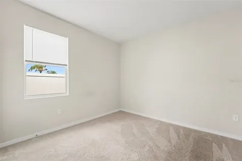 32003 Conchshell Sail Street Wesley Chapel FL 33545