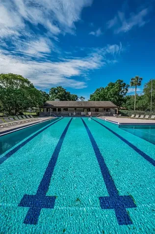 760 Village Way Palm Harbor FL 34683