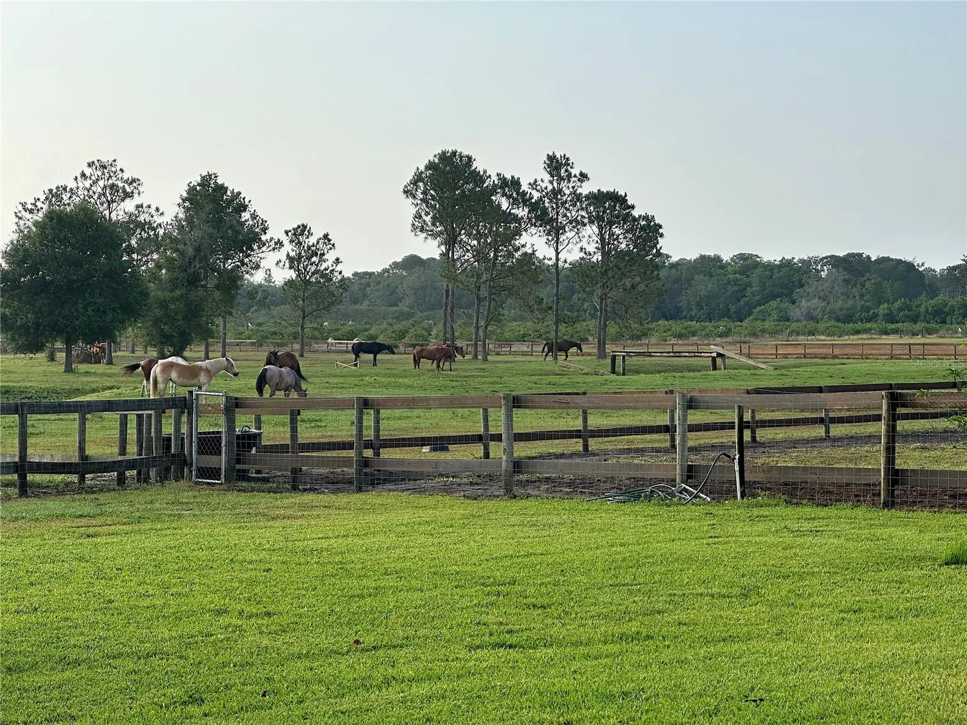 3046 N Bowden Road Avon Park FL 33825