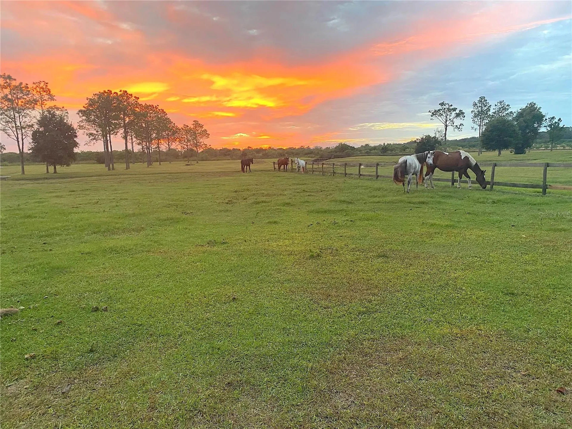 3046 N Bowden Road Avon Park FL 33825