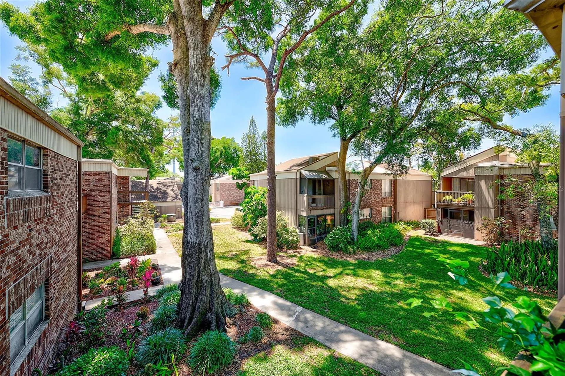 10453 Carrollbrook Circle Tampa FL 33618